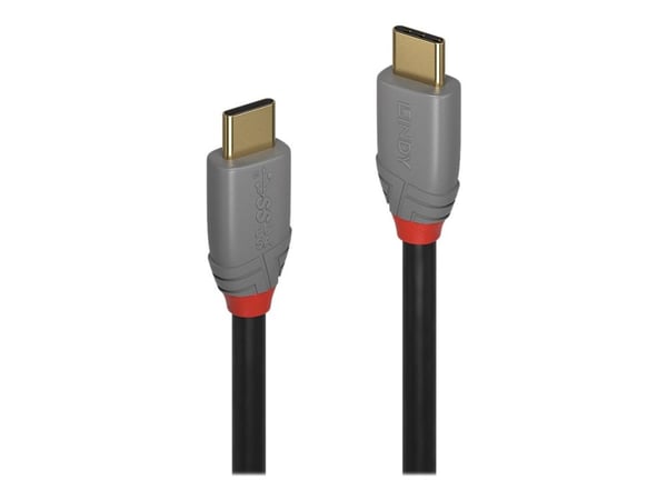 Lindy Anthra Line - USB-kabel - USB-C (hann) til USB-C (hann) - USB 3.2 Gen 2x2 - 1 m - rund - svart