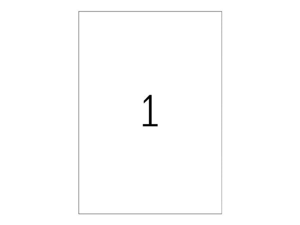 HERMA 9543, Valkoinen, Suorakulmio, A4, Universaali, Polyeteeni, Matta