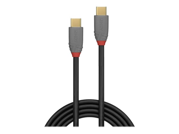 Lindy Anthra Line - USB-kabel - USB-C (hann) til USB-C (hann) - USB 3.2 Gen 2x2 - 1 m - rund - svart