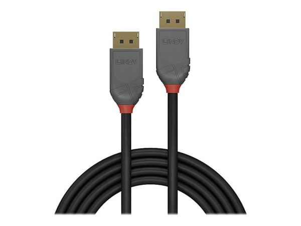 Lindy Anthra Line - DisplayPort-kabel - DisplayPort (hann) til DisplayPort (hann) - DisplayPort 1.1 - 15 m - rund, 1920 x 1200 (WUXGA)-støtte - svart