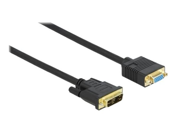 Delock - Adapterkabel - enkel länk - DVI-A (hane) till HD-15 (VGA) (hona) - 2 m - tumskruvar - svart
