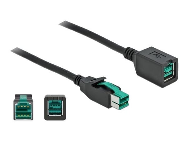 Delock - PoweredUSB extension cable - USB PlusPower (12 V) (hann) til USB PlusPower (12 V) (hunn) - 12 V - 3 m - svart