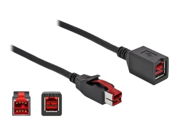 Delock - PoweredUSB extension cable - USB PlusPower (24 V) (hann) til USB PlusPower (24 V) (hunn) - 24 V - 2 m - svart