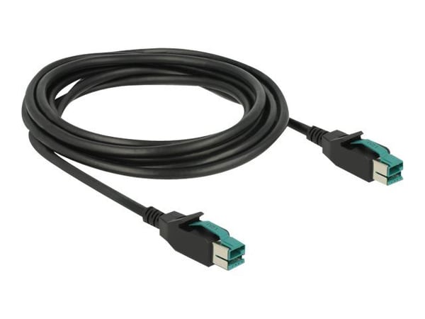 Delock - USB-kabel med egen strömförsörjning - USB PlusPower (12 V) (hane) till USB PlusPower (12 V) (hane) - 12 V - 3 m - svart