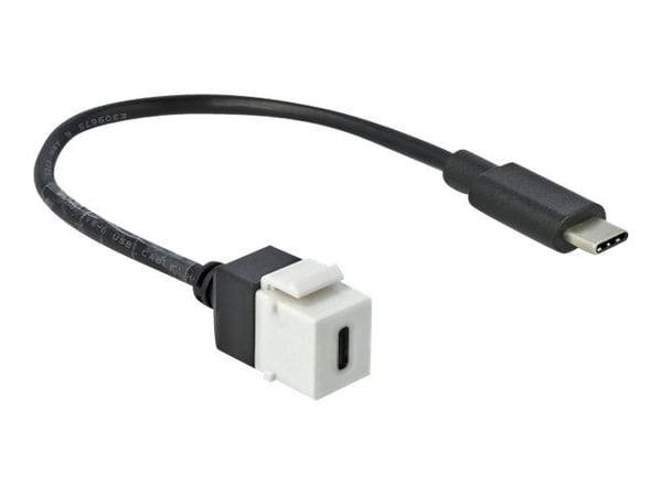 Delock - USB-kabel - USB-C (hunn) til USB-C (hann) - 25 cm - hvit