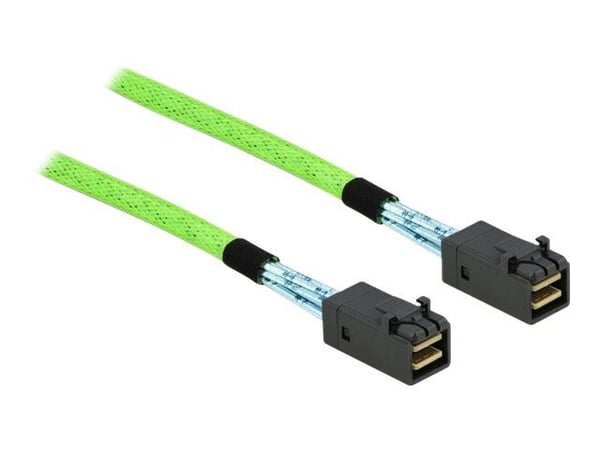 Delock - SAS intern kabel - SAS 64Gbit/s - rett gjennom - Mini SAS HD (SFF-8673) (hann) til Mini SAS HD (SFF-8673) (hann) - 50 cm