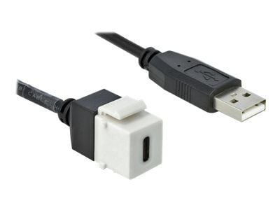 Delock - Modulinnlegg - USB-type C - hvit