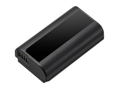 Panasonic DMW-BLJ31 - Batteri - Li-Ion - 3100 mAh - 23 Wh - for Lumix DC-S1M, S1, S1H, S1M, S1R, S1RM