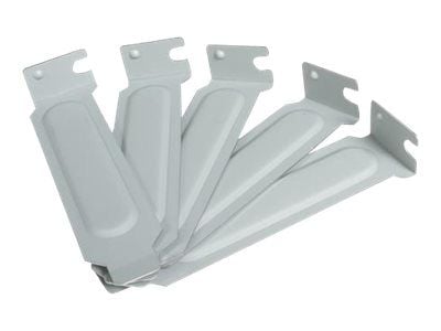 Startech Steel Low Profile Expansion Slot Cover Plate - System slot blanking panel (pack of 5) - PLATEBLANKLP - Blindpanel for systemspor (en pakke 5)