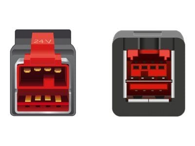 Delock - PoweredUSB extension cable - USB PlusPower (24 V) (hann) til USB PlusPower (24 V) (hunn) - 24 V - 1 m - svart