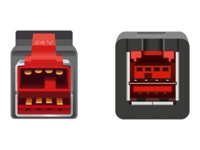 Delock - PoweredUSB extension cable - USB PlusPower (24 V) (hann) til USB PlusPower (24 V) (hunn) - 24 V - 2 m - svart