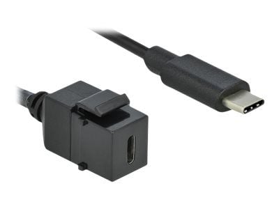 Delock - Modulinnlegg - USB-type C - svart