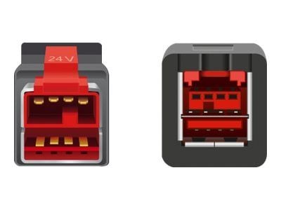 Delock - PoweredUSB extension cable - USB PlusPower (24 V) (hann) til USB PlusPower (24 V) (hunn) - 24 V - 4 m - svart