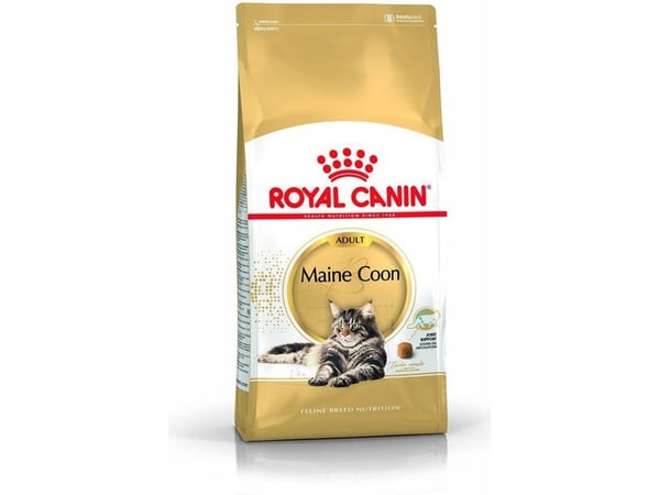 Royal Canin Maine Coon, Aikuinen, Maine Coon, 4 kg, Antioksidantit sisältyvät