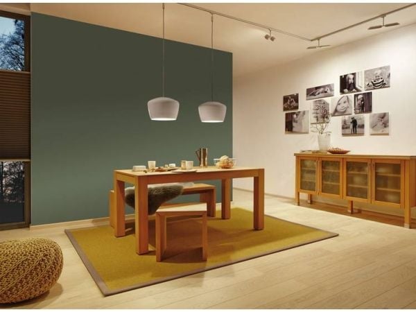Paulmann 954.38, Innendørs, Hvit, Metall, Rund, Monokromatisk, Taklampe