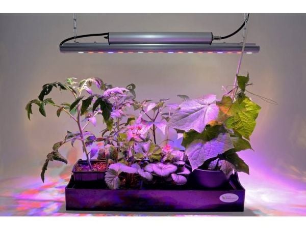 Venso LED vekstlampe 65 cm 230 V LED innebygd 35 W RGBW (1 stk)