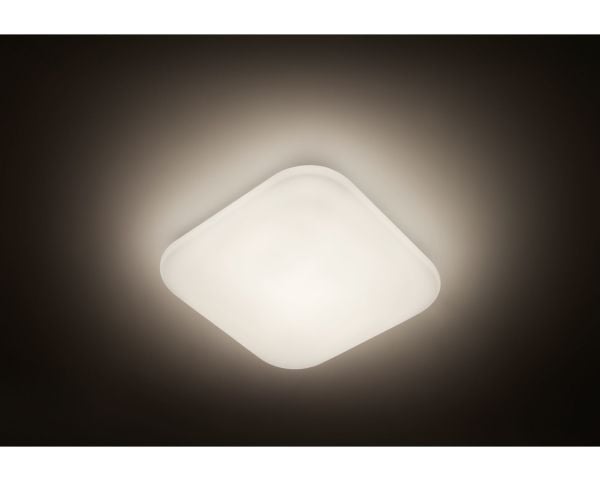 Philips Funksjonell 8718696162811, LED, 4000 K, 2000 lm, IP20, Hvit
