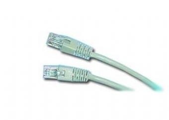 Gembird - Koblingskabel - RJ-45 (hann) til RJ-45 (hann) - CAT 5e - formstøpt - svart