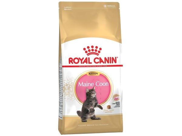 Royal Canin Maine Coon Kitten kissan kuivaruoka 2 kg