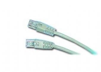 Gembird - Koblingskabel - RJ-45 (hann) til RJ-45 (hann) - CAT 5e - formstøpt - rød