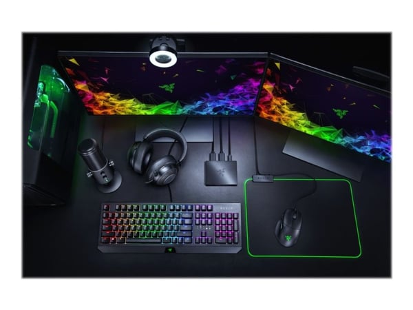Razer Ripsaw HD - Videofangstadapter - USB 3.0