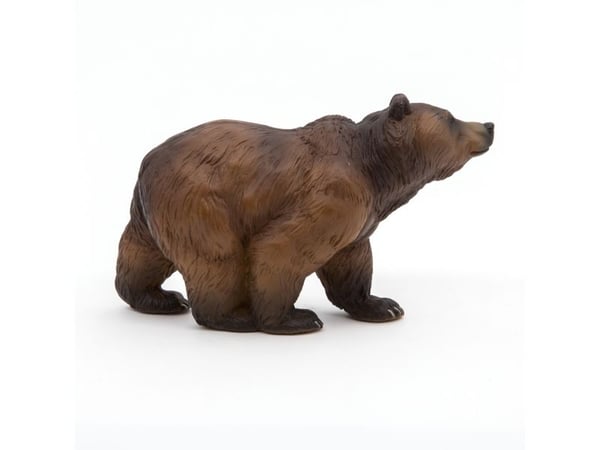 Papo 50032, 3 År, Wild animal kingdom, Brun, PVC