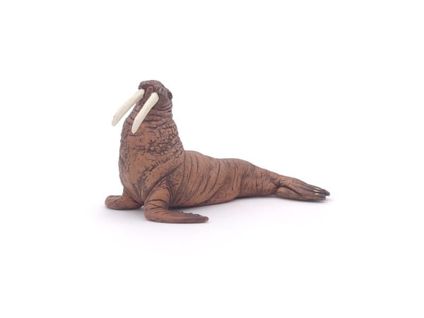 Papo 56030, 3 år, Marine life, Brun, PVC