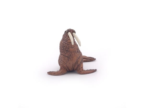 Papo 56030, 3 år, Marine life, Brun, PVC