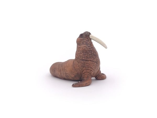 Papo 56030, 3 år, Marine life, Brun, PVC