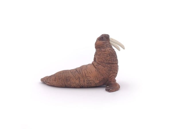 Papo 56030, 3 år, Marine life, Brun, PVC