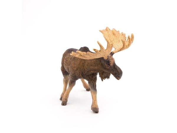 Papo 50065, 3 år, Wild animal kingdom, Brun, PVC