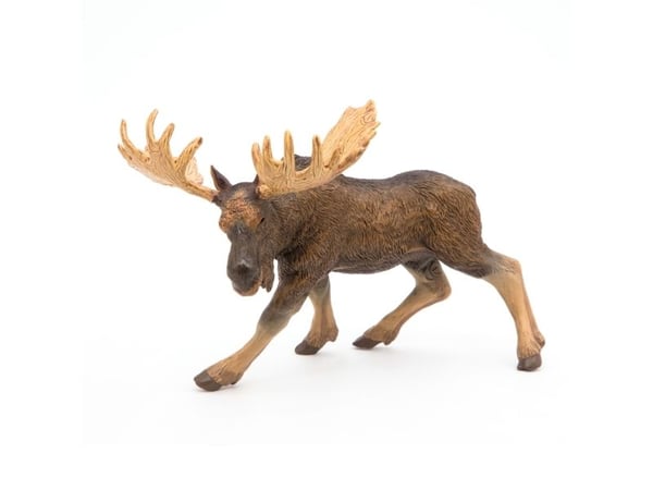 Papo 50065, 3 år, Wild animal kingdom, Brun, PVC