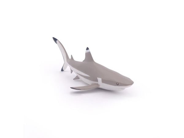 Papo 56034, 3 år, Marine life, Grå, PVC