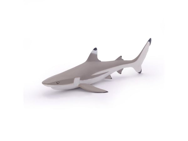 Papo 56034, 3 år, Marine life, Grå, PVC