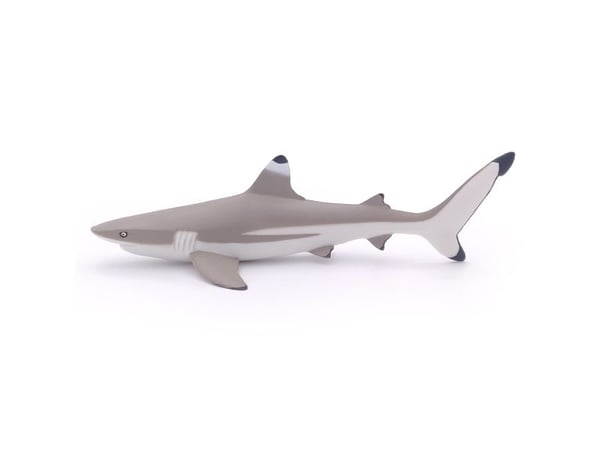 Papo 56034, 3 år, Marine life, Grå, PVC
