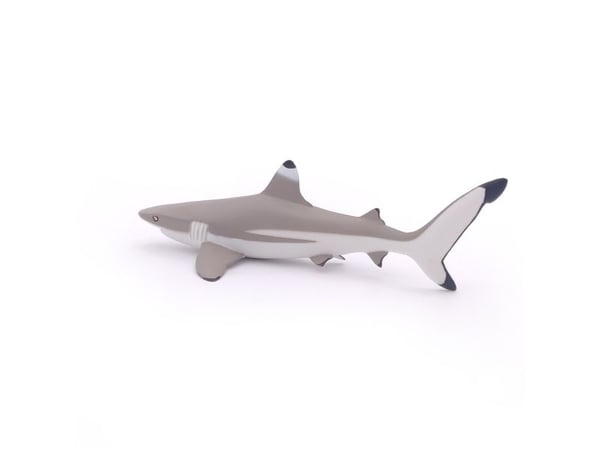 Papo 56034, 3 år, Marine life, Grå, PVC
