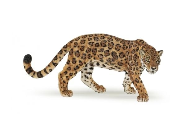 PAPO Jaguar