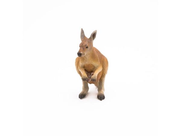 Papo 50188, 3 år, Wild animal kingdom, Brun, PVC
