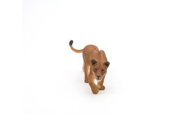 Papo 50251, 3 år, Wild animal kingdom, Brun, PVC