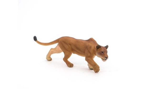 Papo 50251, 3 år, Wild animal kingdom, Brun, PVC