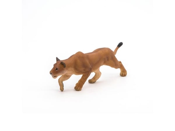 Papo 50251, 3 år, Wild animal kingdom, Brun, PVC