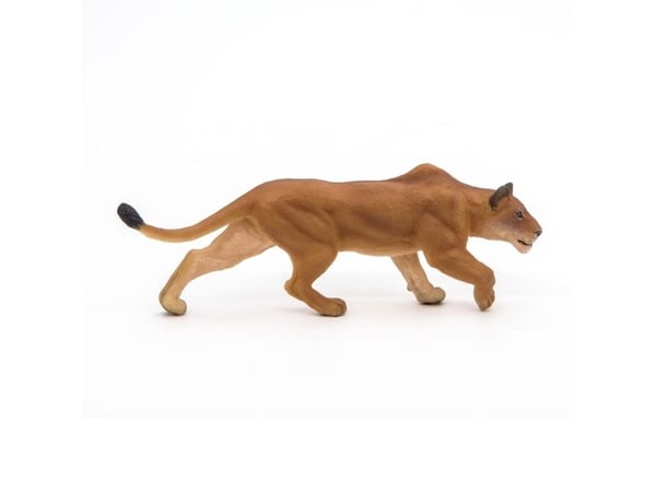 Papo 50251, 3 år, Wild animal kingdom, Brun, PVC
