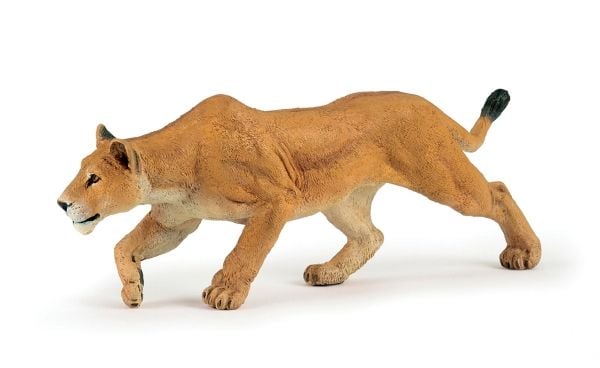 Papo 50251, 3 år, Wild animal kingdom, Brun, PVC