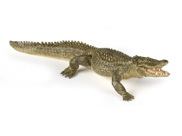 Papo 50254, 3 år, Wild animal kingdom, Grønn, PVC