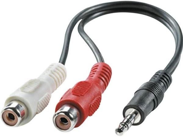 ROLINE 11.09.4340, 3.5mm, Hankjønn, 2 x RCA, Hunkjønn, 0,2 m, Sort