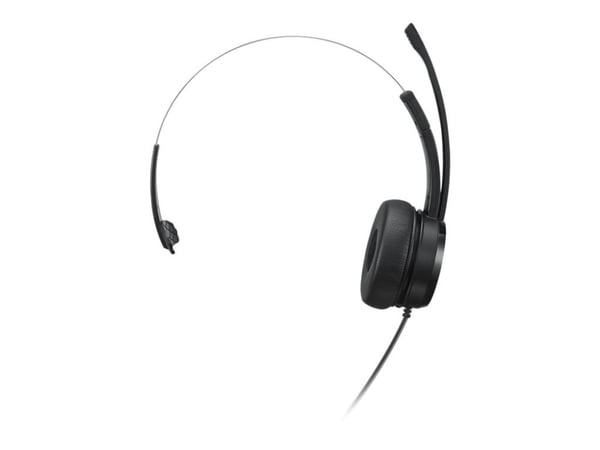 Lenovo 100 - Hodesett - on-ear - kablet - USB-A - svart