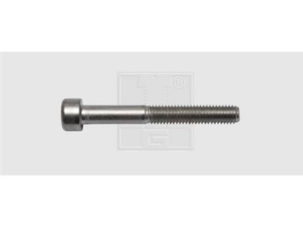 SWG 9464567 insexskruvar M6 45 mm insex invändig DIN 912 rostfritt stål A2, 40 st