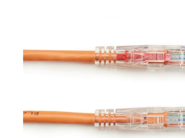 Black Box GigaTrue 3 CAT6 1ft, 0,3 m, Cat6, U/UTP (UTP), RJ-45, RJ-45, Oransje