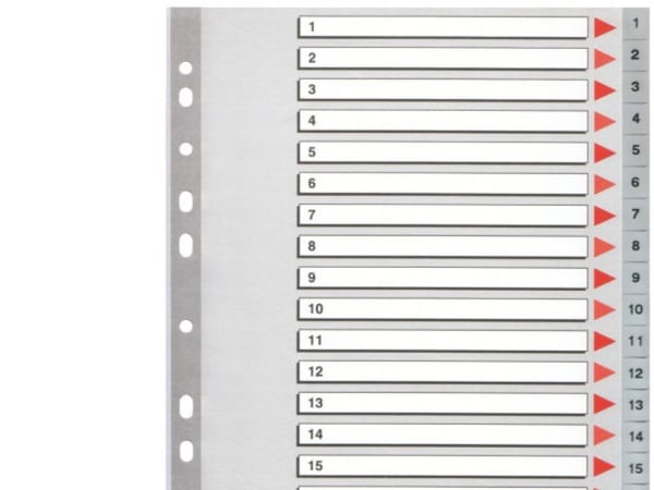 Esselte PP A4 rekisteri 1-20 harmaa - (10 sarjaa)