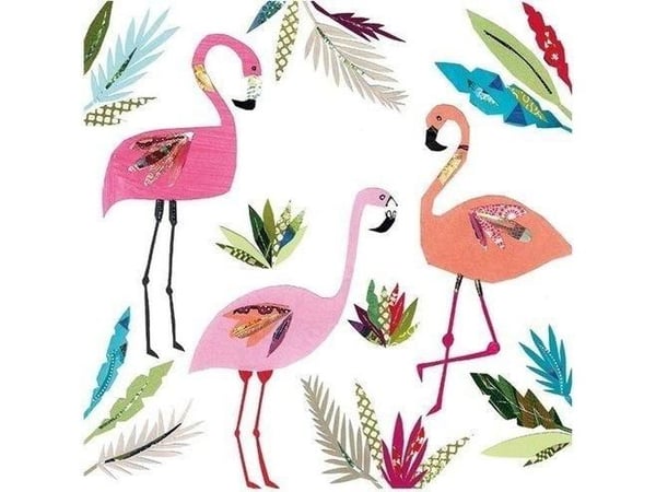 Museer & gallerier kort firkant m/ konvolutt 3 flamingoer